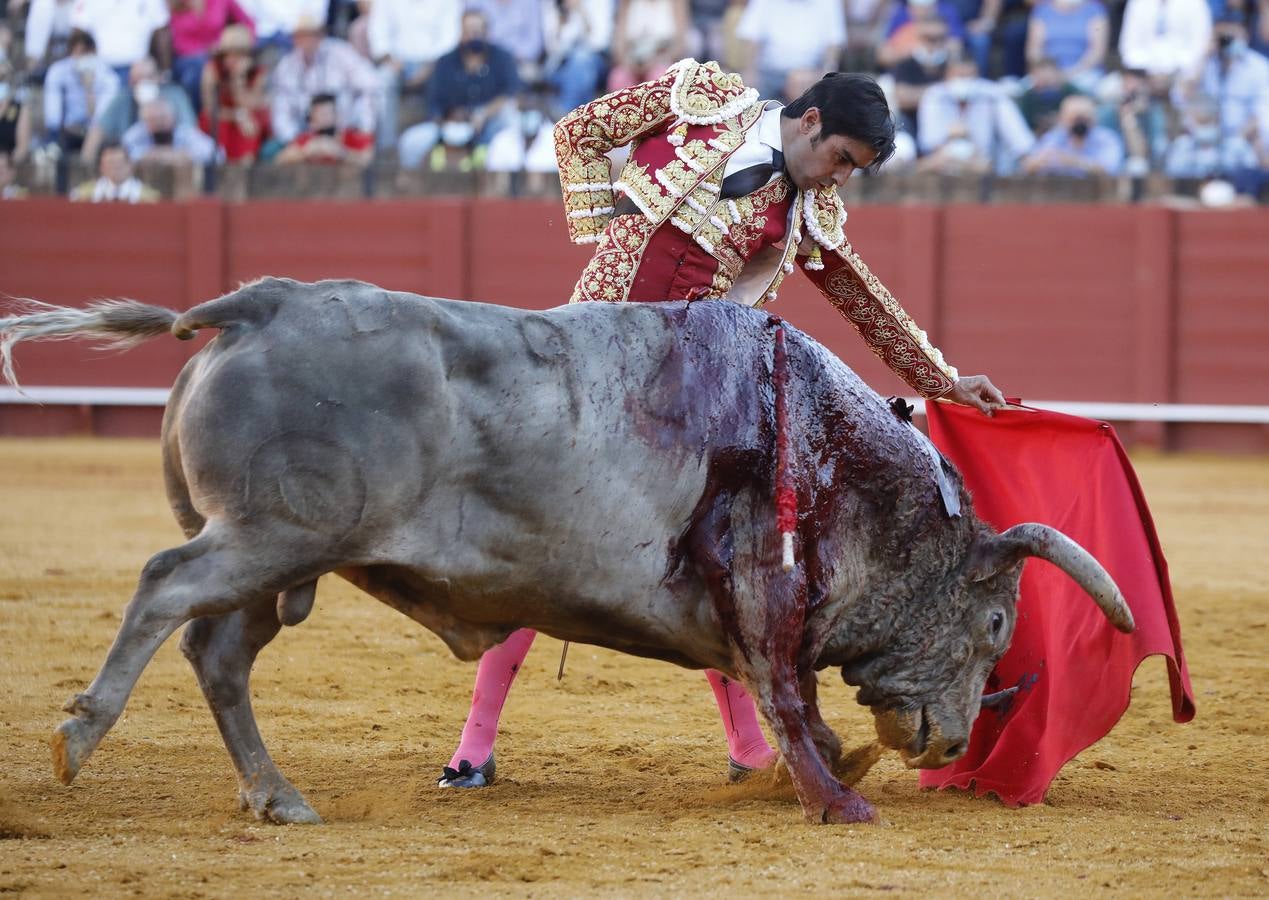 Miguel Ángel Perera, de sangre de toro y oro en la Maestranza