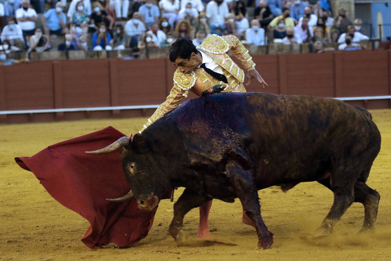 Paco Ureña, de rosa y oro en la Maestranza