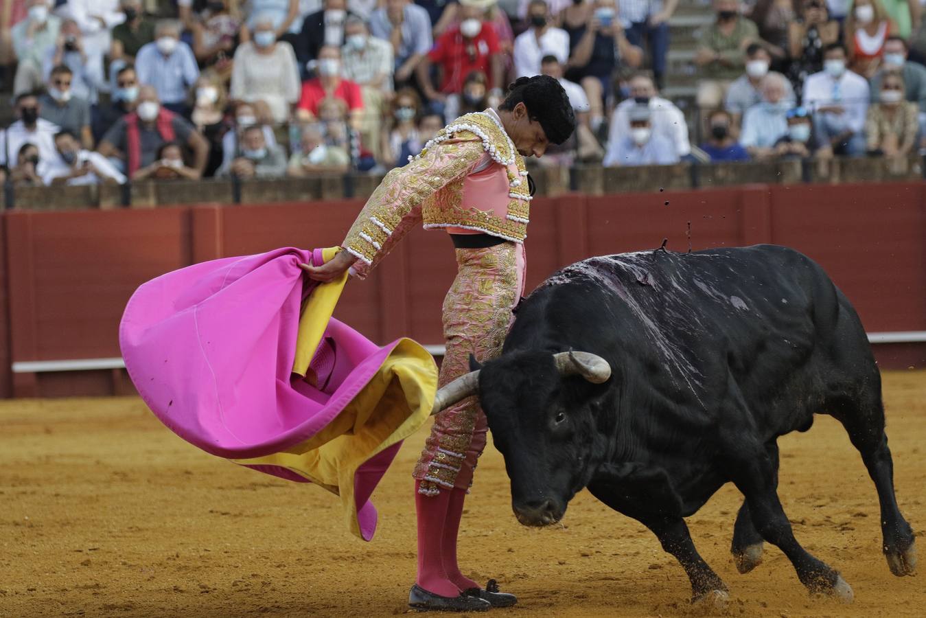 Paco Ureña, de rosa y oro en la Maestranza