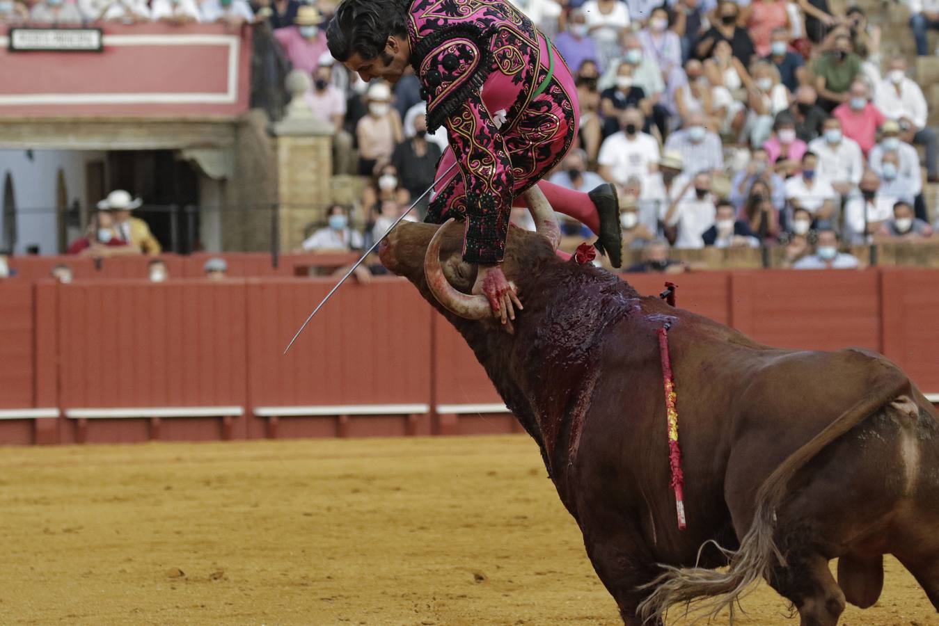 Morante de la Puebla, de rosa y azabache en la Maestranza