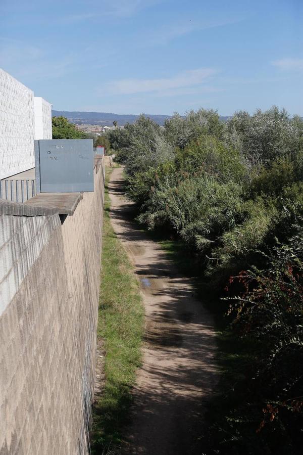 En imágenes, la vegetación tapa los molinos del Guadalquivir en Córdoba