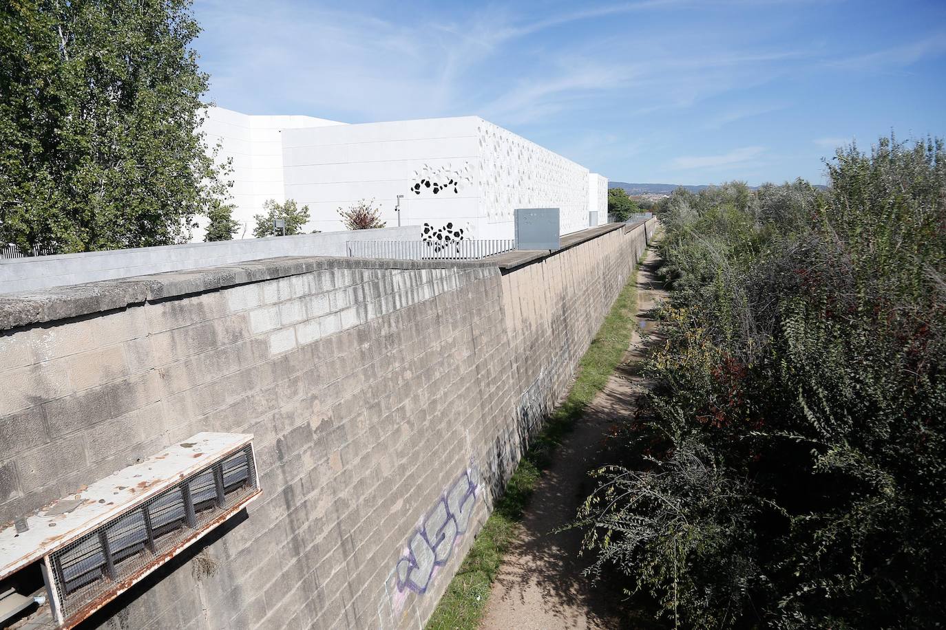 En imágenes, la vegetación tapa los molinos del Guadalquivir en Córdoba