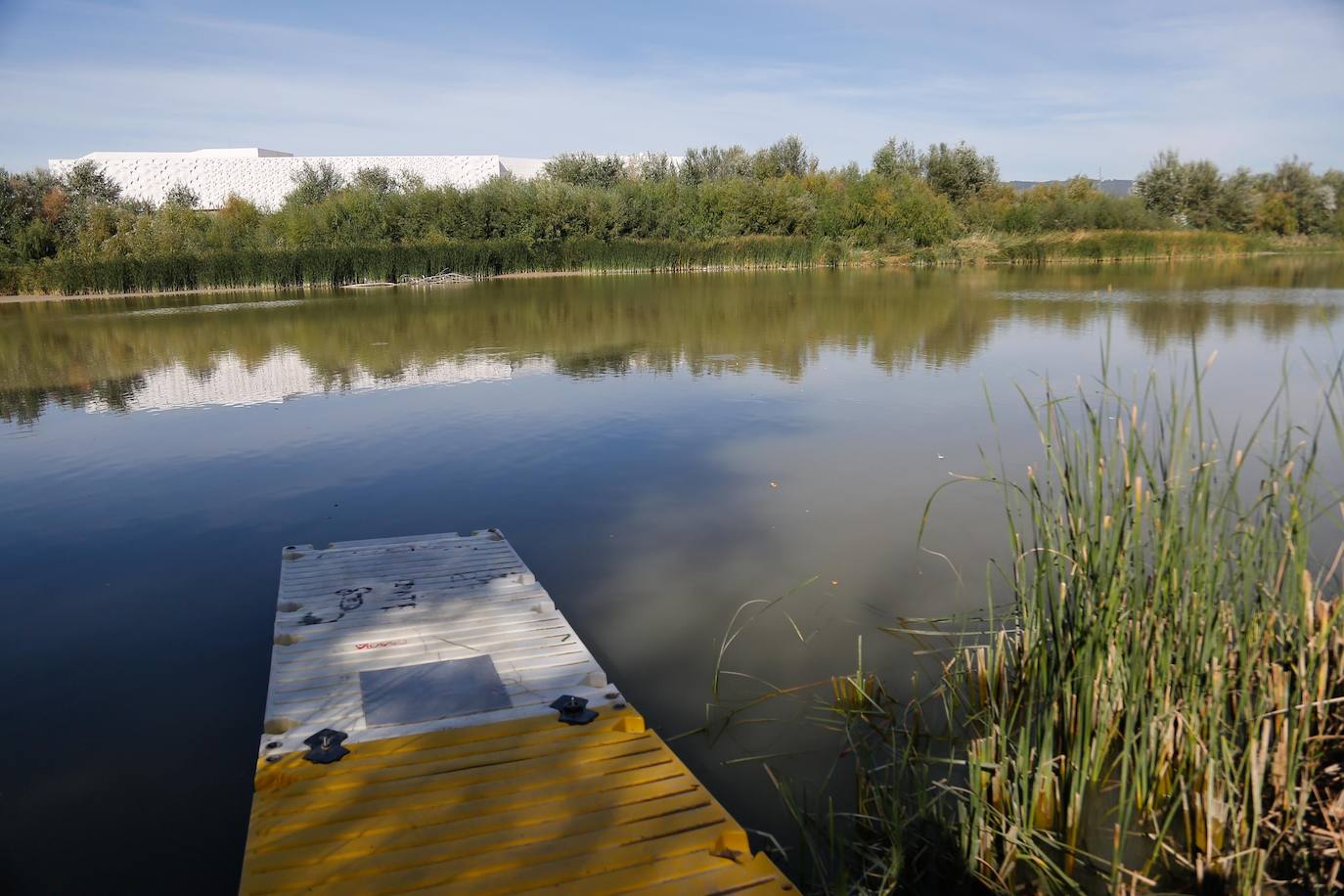 En imágenes, la vegetación tapa los molinos del Guadalquivir en Córdoba