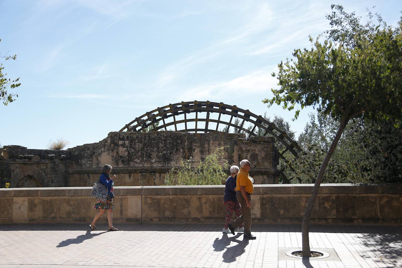 En imágenes, la vegetación tapa los molinos del Guadalquivir en Córdoba