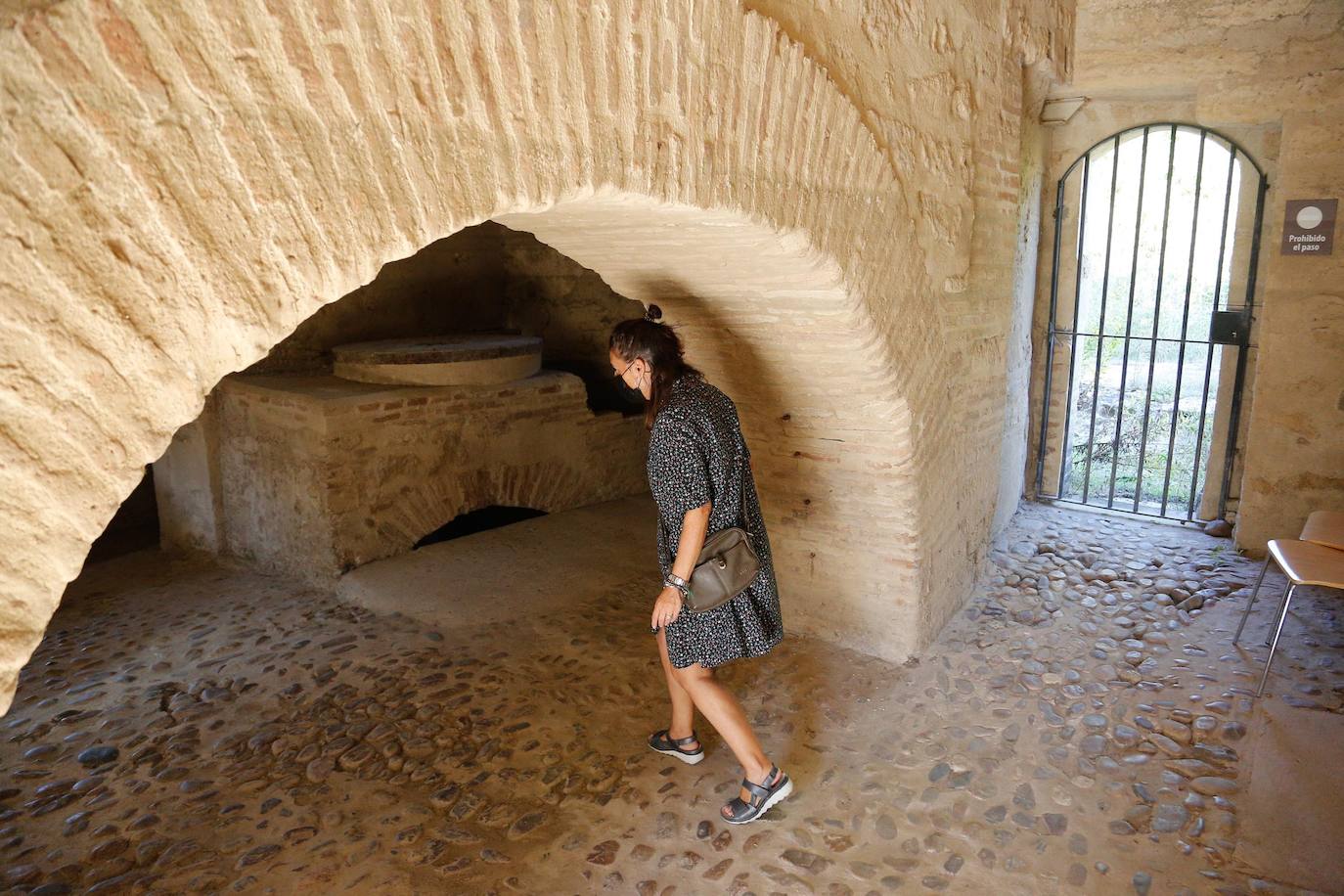 En imágenes, la vegetación tapa los molinos del Guadalquivir en Córdoba