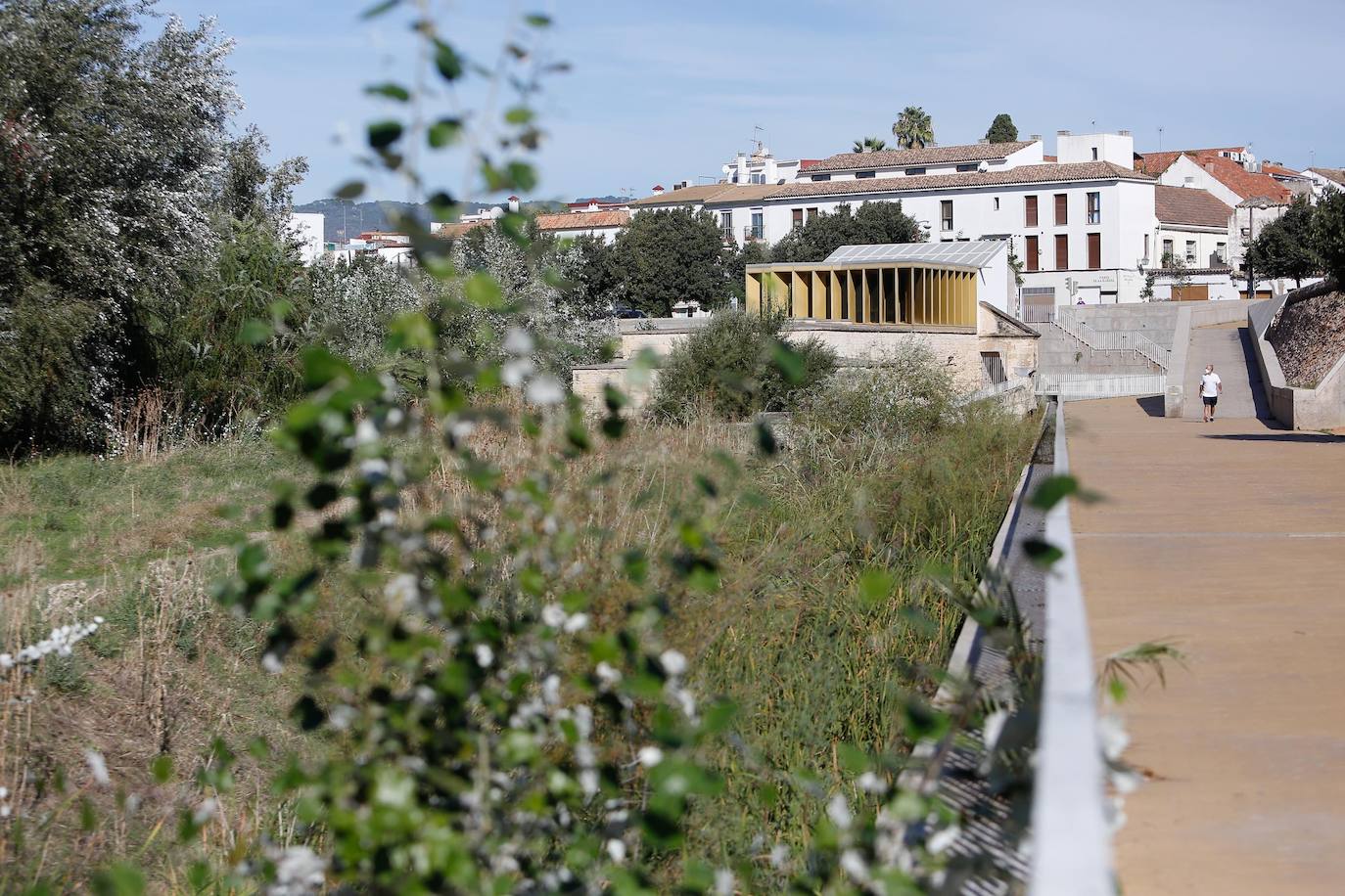 En imágenes, la vegetación tapa los molinos del Guadalquivir en Córdoba