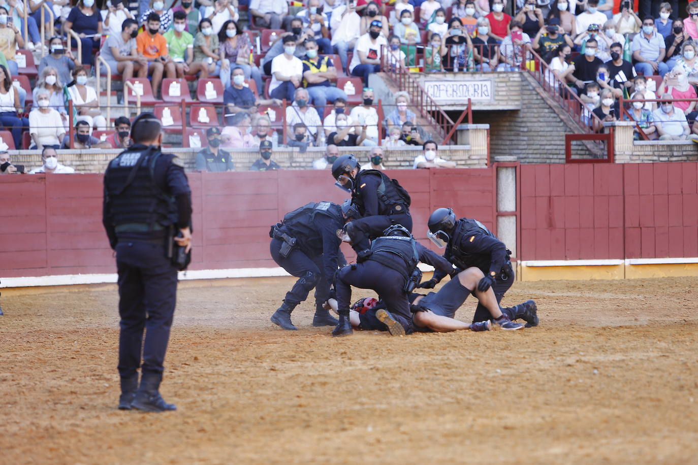 La exhibición de la Guardia Civil en la plaza de toros de Córdoba, en imágenes