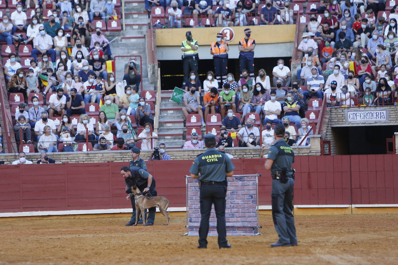 La exhibición de la Guardia Civil en la plaza de toros de Córdoba, en imágenes