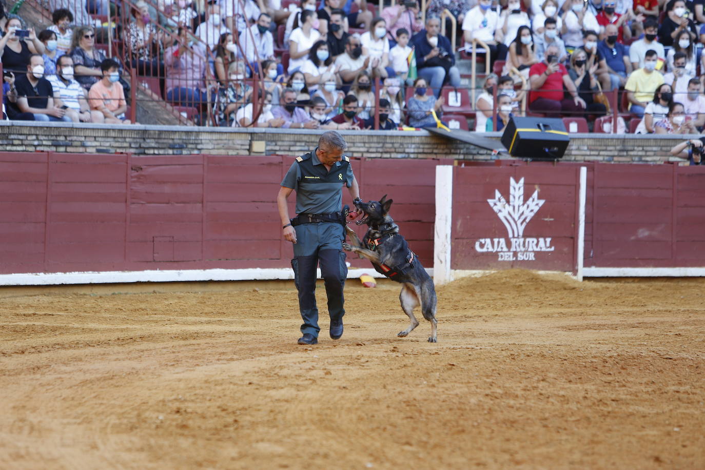 La exhibición de la Guardia Civil en la plaza de toros de Córdoba, en imágenes