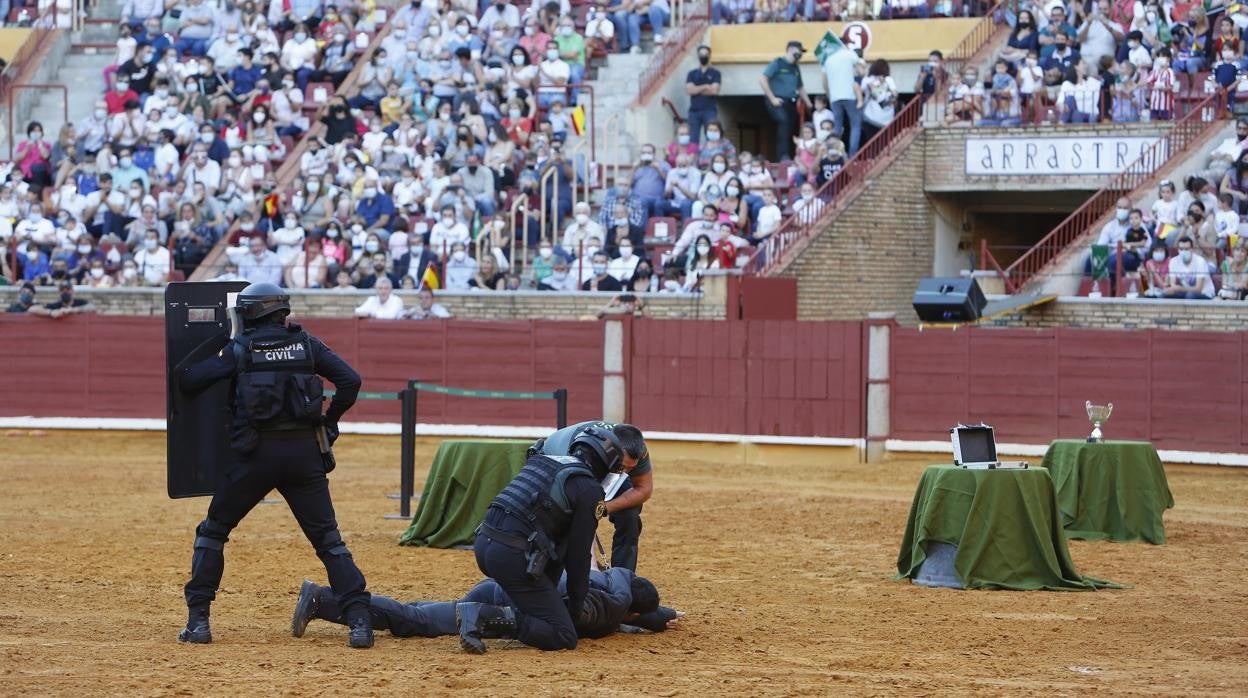 La exhibición de la Guardia Civil en la plaza de toros de Córdoba, en imágenes