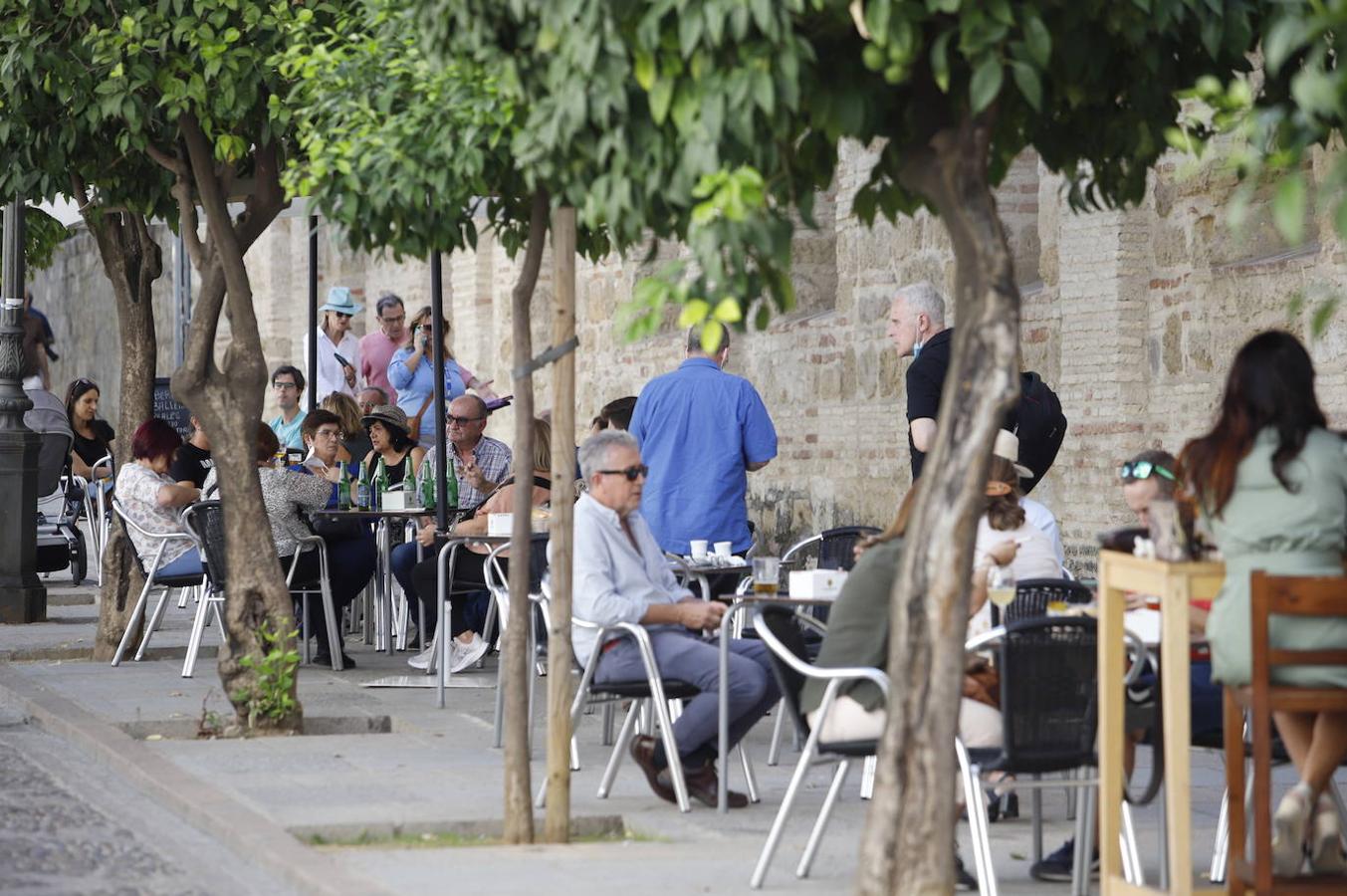 El turismo en Córdoba en el Puente del Pilar, en imágenes