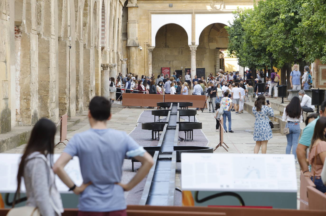 Los preparativos de Festival Flora de Córdoba 2021, en imágenes