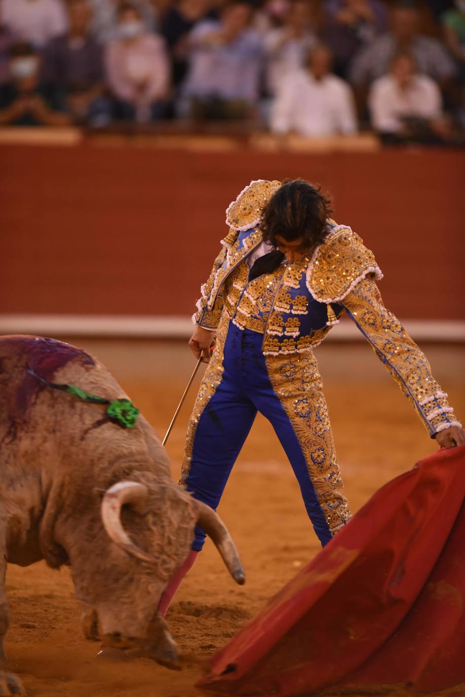 El festejo mixto de Montoro, en imágenes