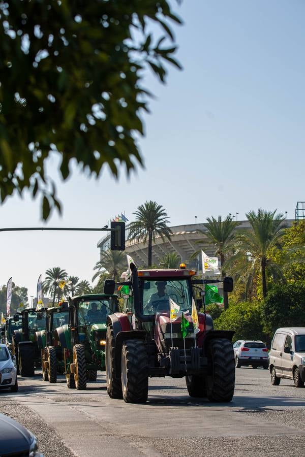 Manifestación de los agricultores andaluces contra la PAC en Sevilla