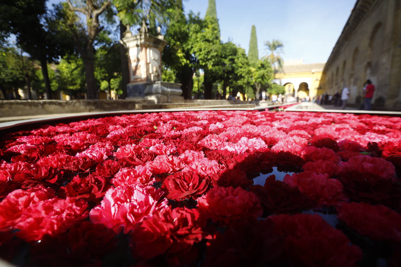 Festival Flora Córdoba | El lleno de la primera jornada en imágenes (II)