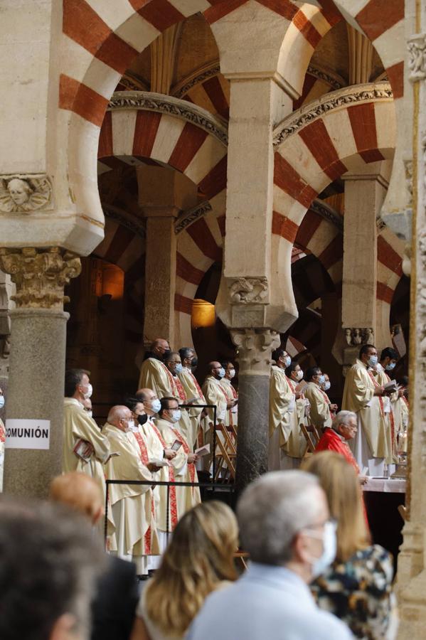 La beatificación de 127 mártires de la persecución en Córdoba, en imágenes (I)