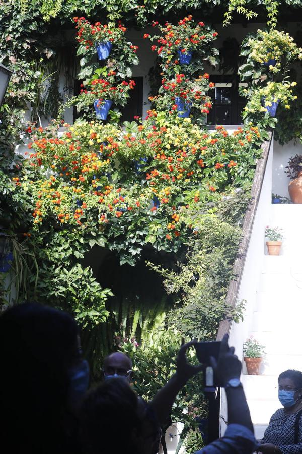 La apertura extraordinaria de los Patios de Córdoba, en imágenes