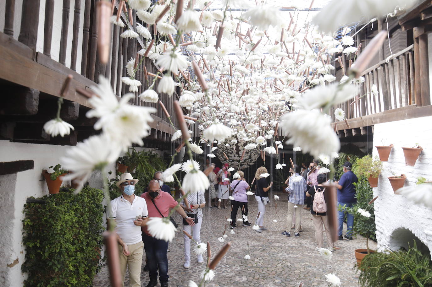 Festival Flora Córdoba 2021 | Gran ambiente de público en los patios, en imágenes (II)