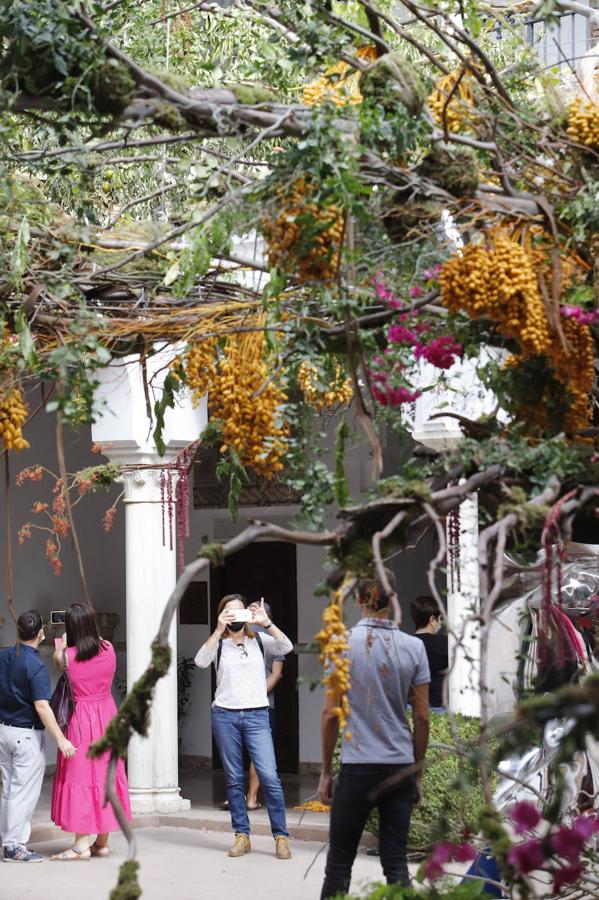 Festival Flora Córdoba 2021 | Gran ambiente de público en los patios, en imágenes (II)