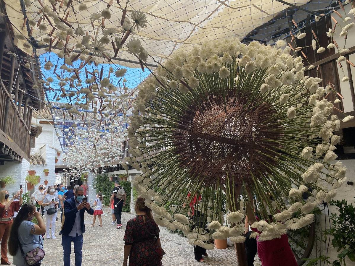 Festival Flora Córdoba 2021 | Gran ambiente de público en los patios, en imágenes (I)