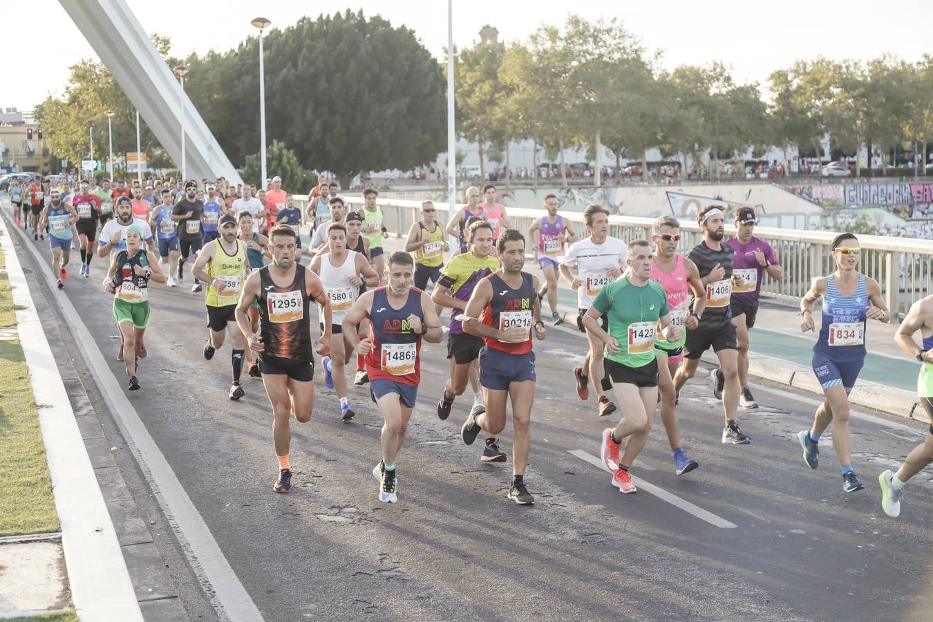 ¿Has corrido la Media Maratón de Sevilla? Búscate aquí (VI)