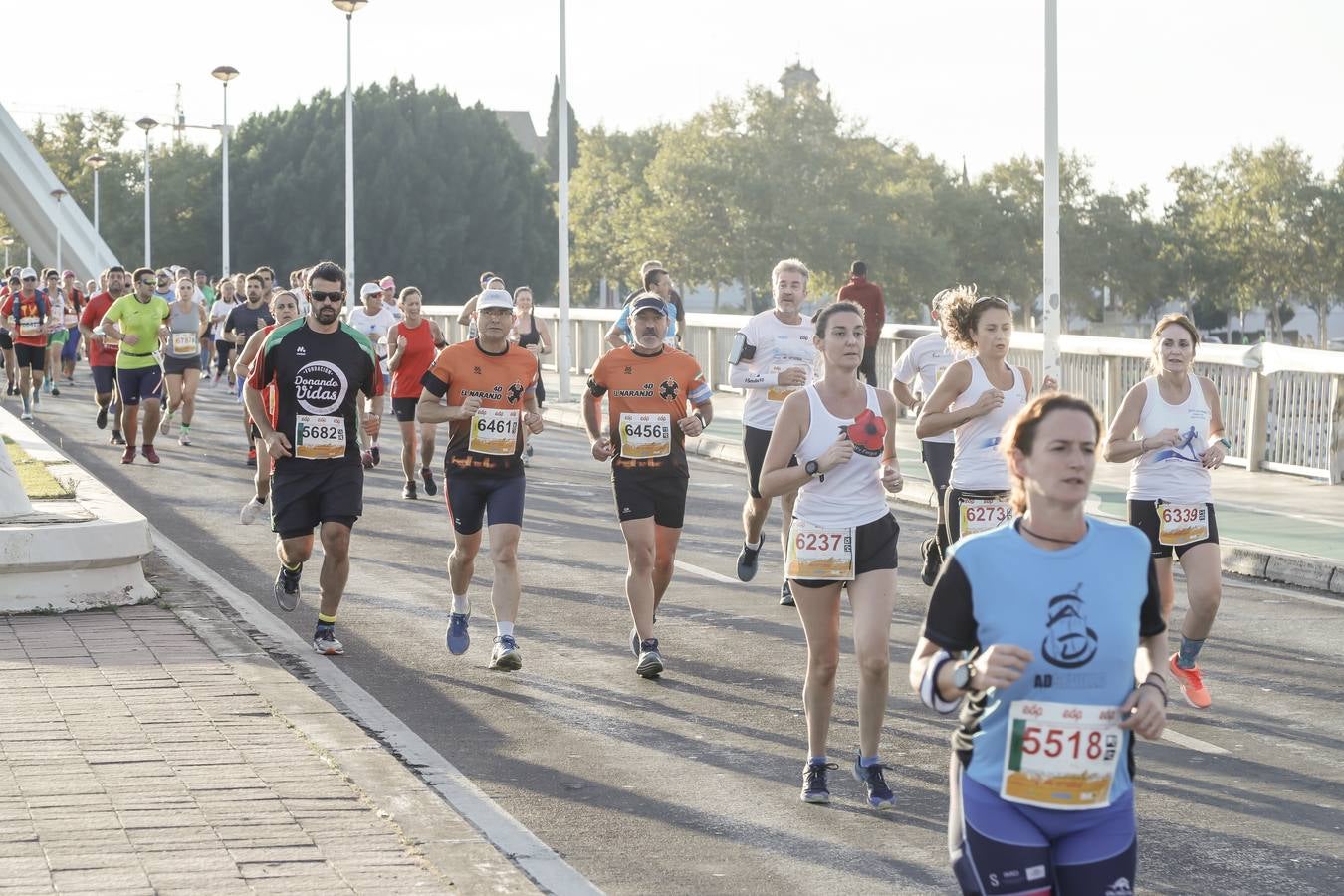 ¿Has corrido la Media Maratón de Sevilla? Búscate aquí (IV)