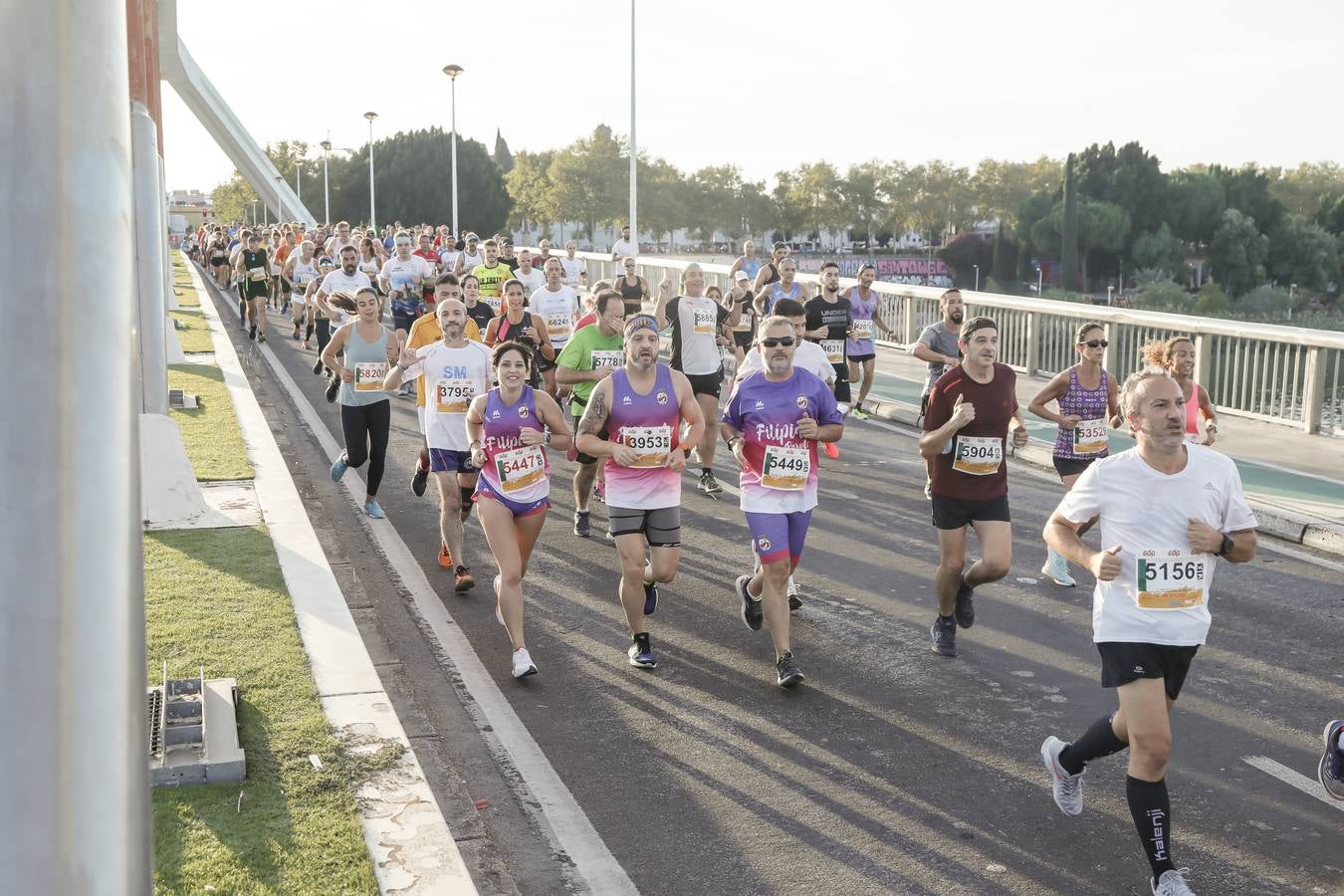 ¿Has corrido la media maratón de Sevilla? Búscate en nuestras galerías