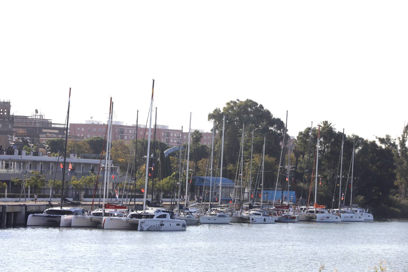 Los veleros que participarán en la travesía ya se encuentran en el Puerto de Sevilla