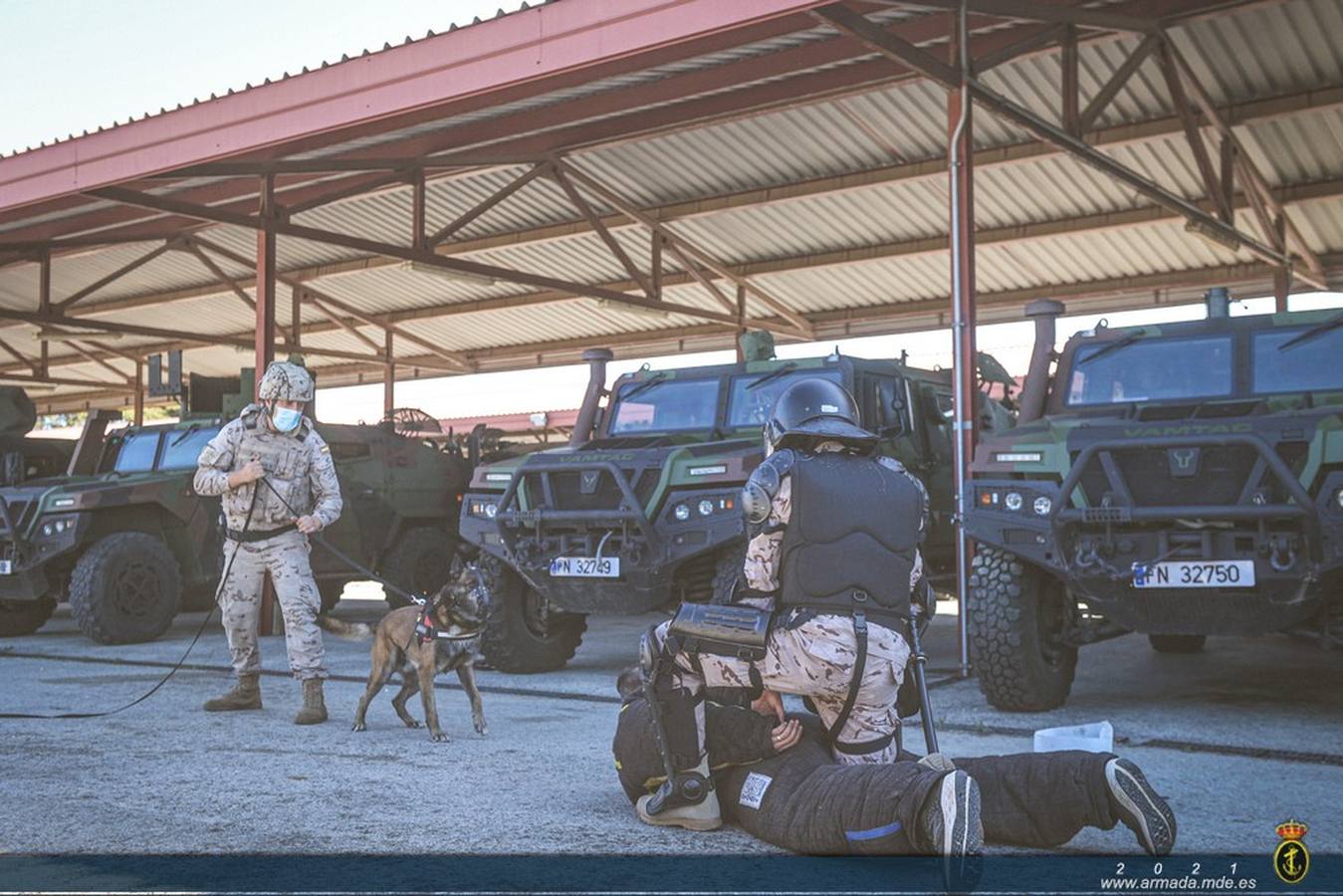 Los perros de las Fuerzas y Cuerpos de Seguridad del Estado se adiestran en Cádiz