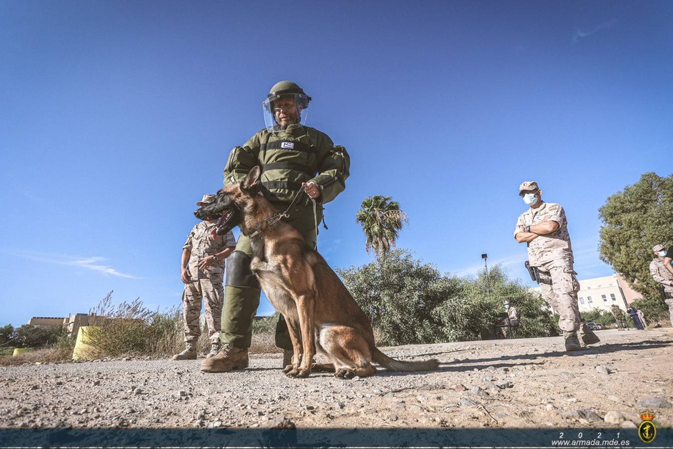 Fotos: Las unidades caninas de la Armada, en pleno ejercicio en Cádiz