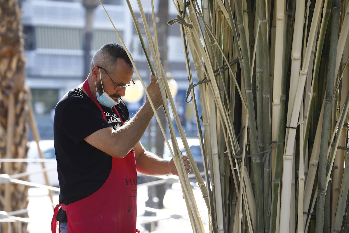 Flora Córdoba 2021 | La guerrilla final, en imágenes