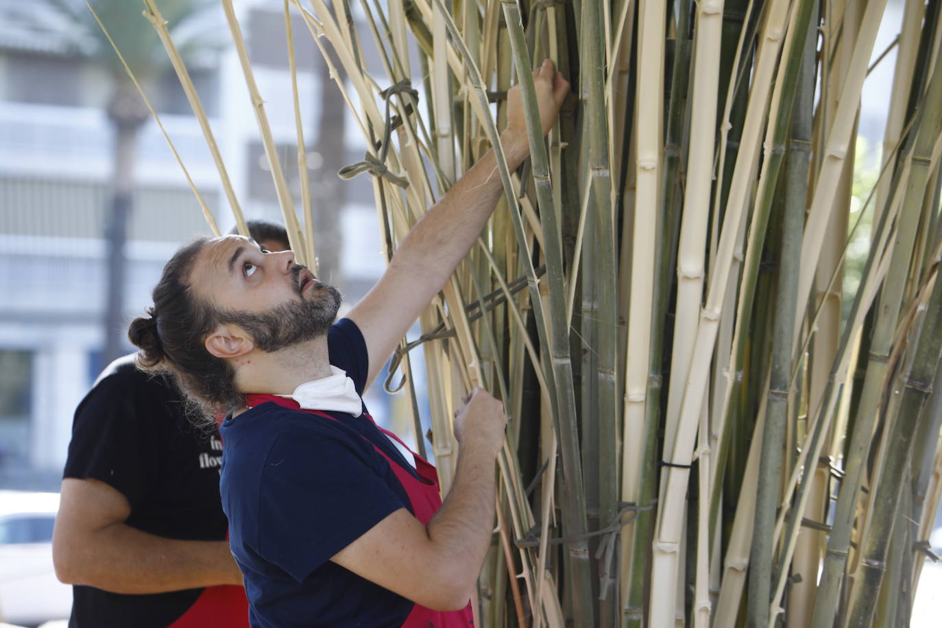 Flora Córdoba 2021 | La guerrilla final, en imágenes