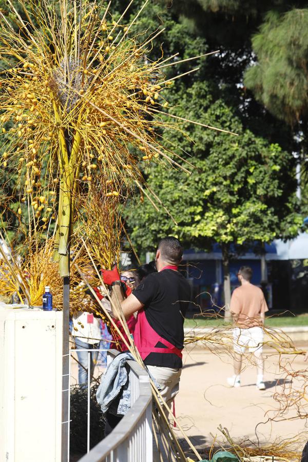 Flora Córdoba 2021 | La guerrilla final, en imágenes