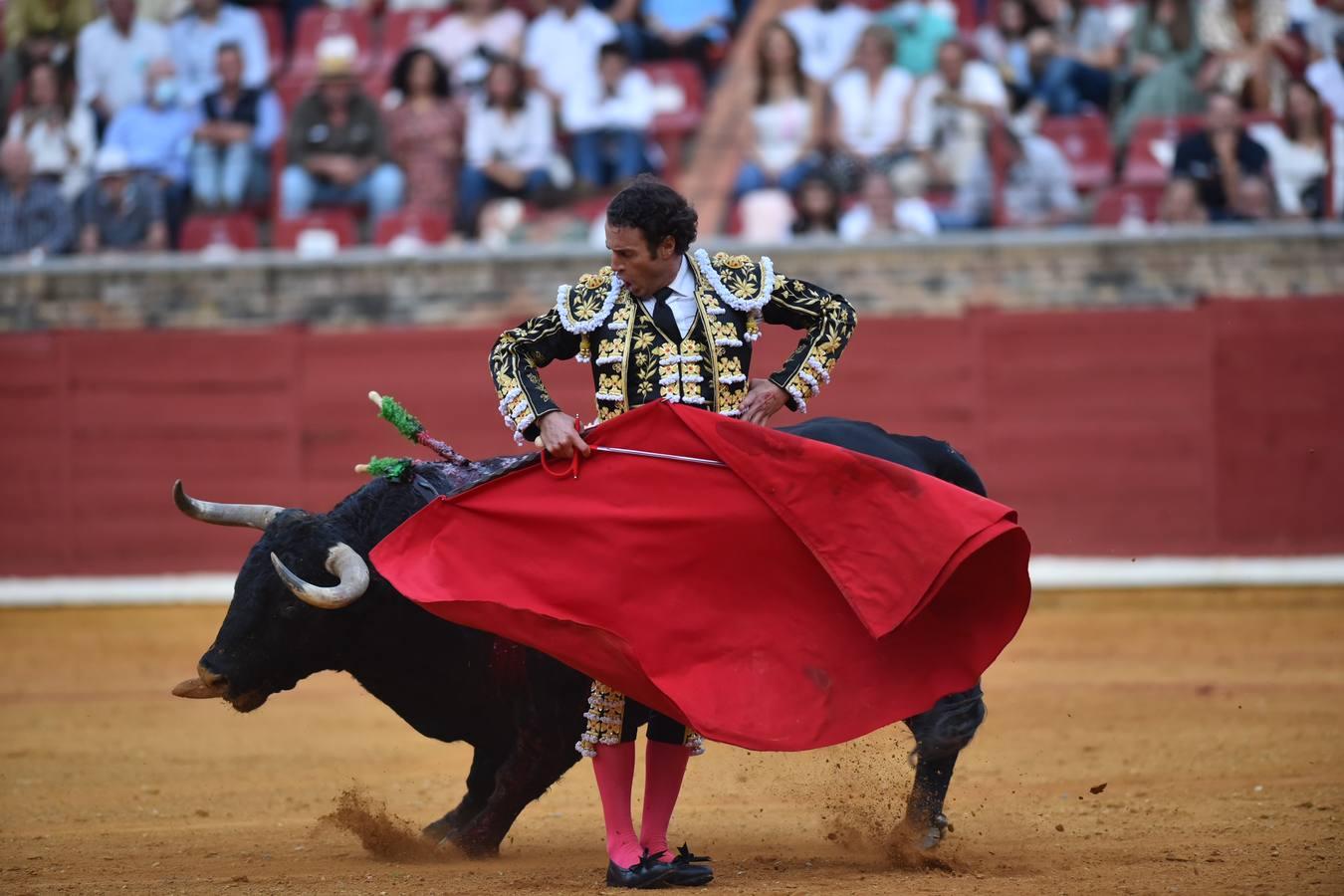 Toros en Córdoba | El cierre de temporada de Finito de Córdoba, en imágenes