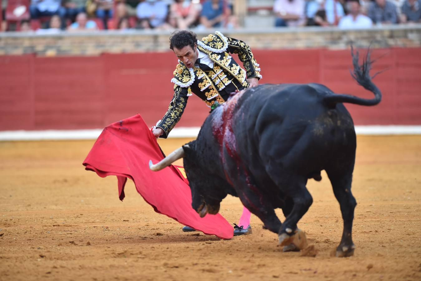 Toros en Córdoba | El cierre de temporada de Finito de Córdoba, en imágenes