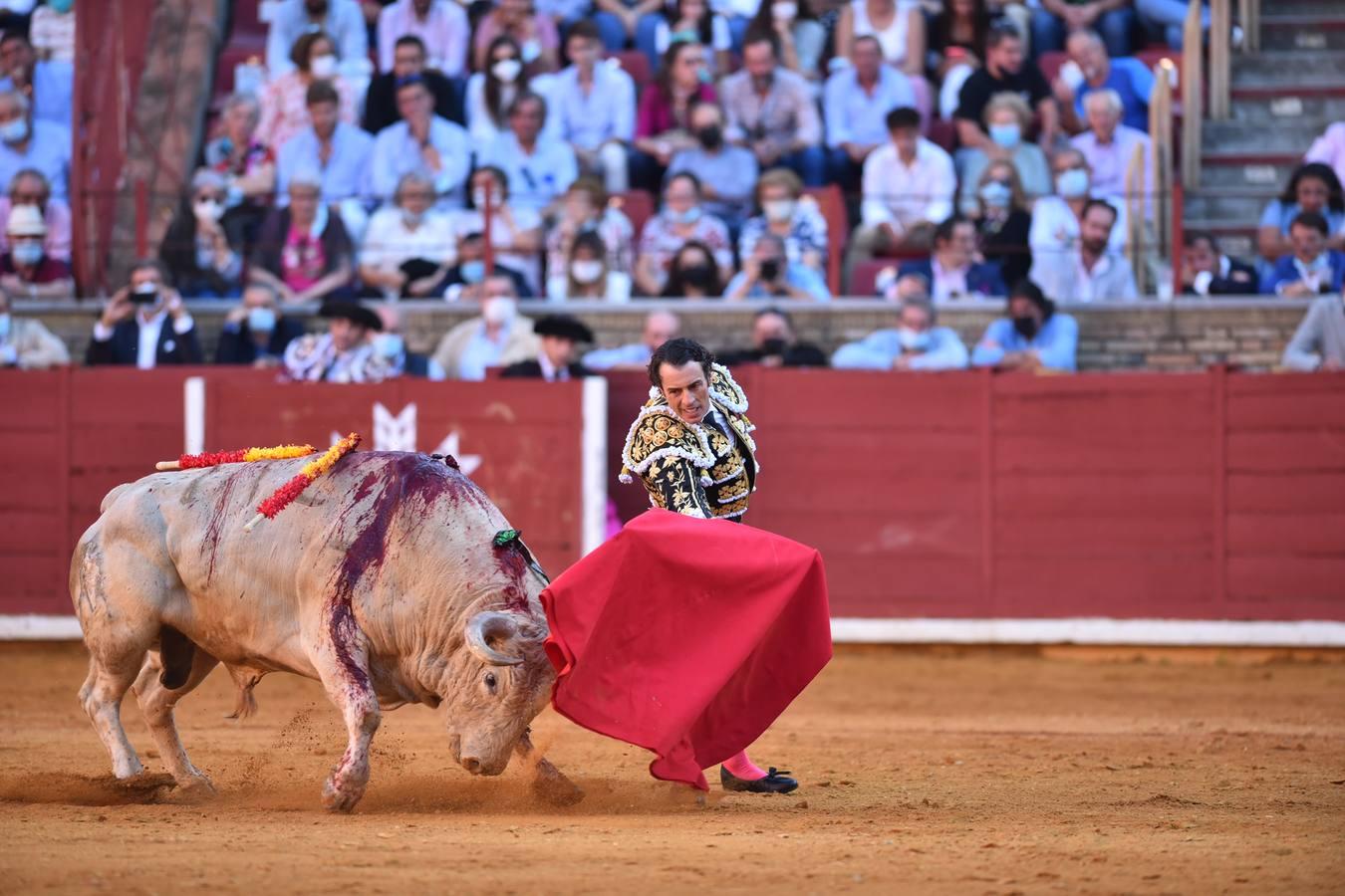 Toros en Córdoba | El cierre de temporada de Finito de Córdoba, en imágenes