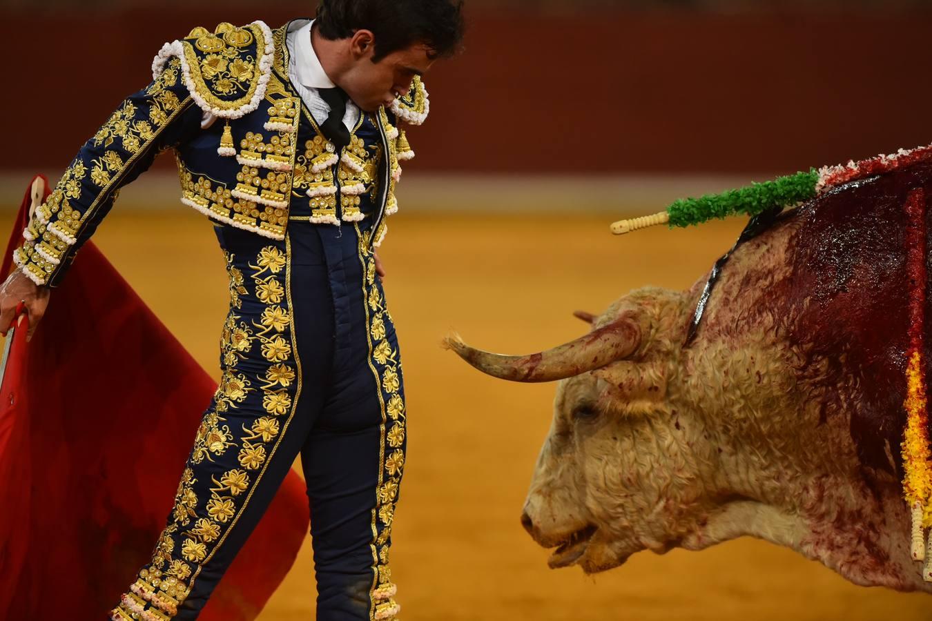 Toros en Córdoba | El cierre de temporada de Finito de Córdoba, en imágenes