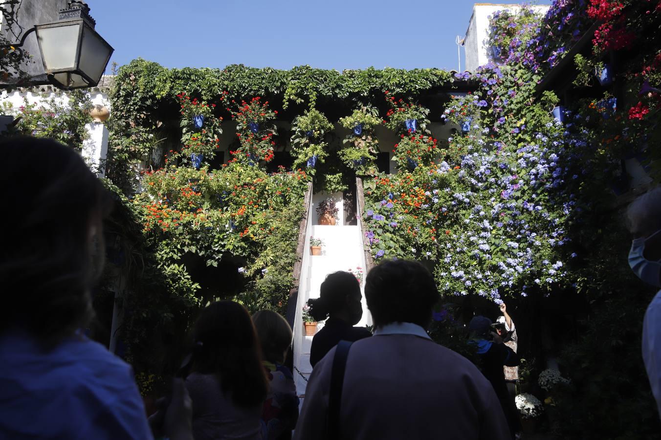 Los patios de octubre de Córdoba, en imágenes