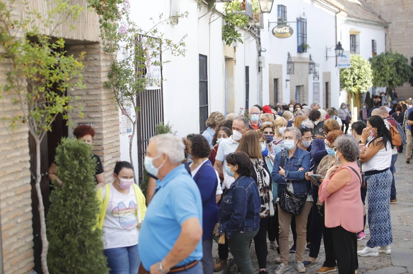 Los patios de octubre de Córdoba, en imágenes