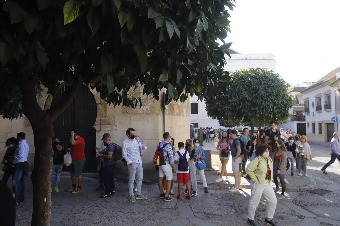 Los patios de octubre de Córdoba, en imágenes