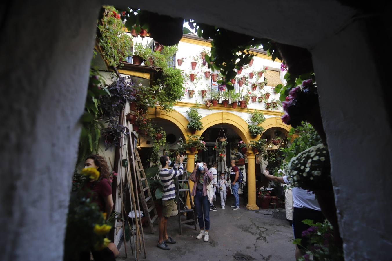 Los patios de octubre de Córdoba, en imágenes