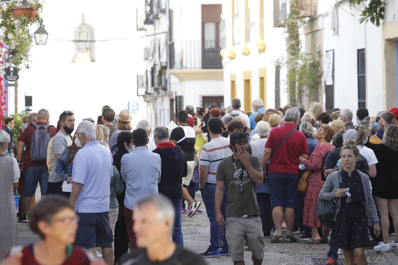 Los patios de octubre de Córdoba, en imágenes