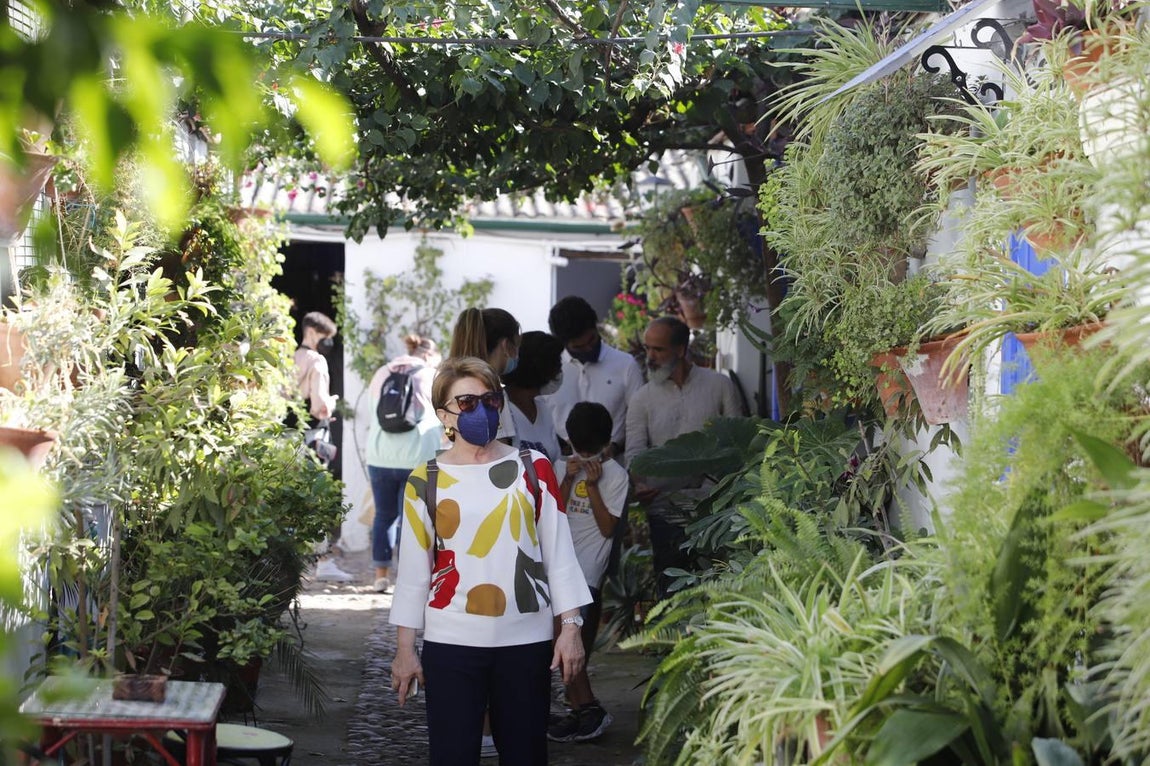 Los patios de octubre de Córdoba, en imágenes