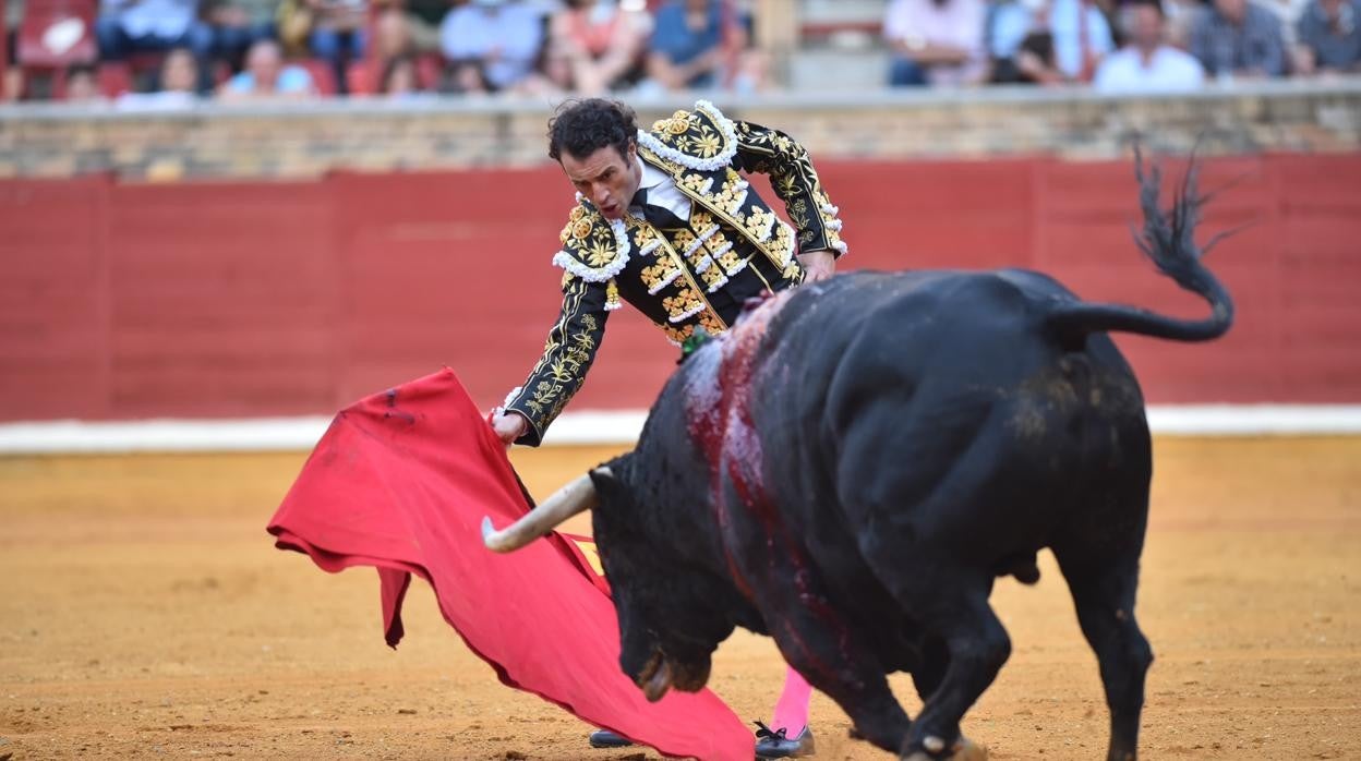 Toros en Córdoba | El cierre de temporada de Finito de Córdoba, en imágenes