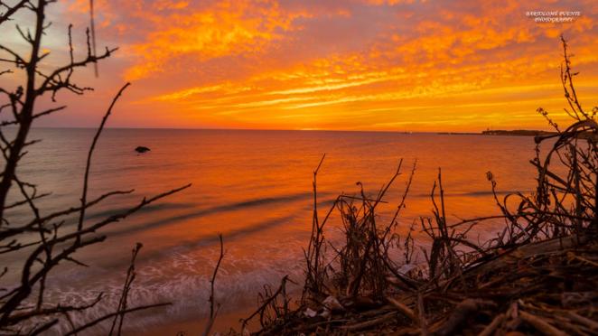 Fotos: El atardecer en la provincia de Cádiz