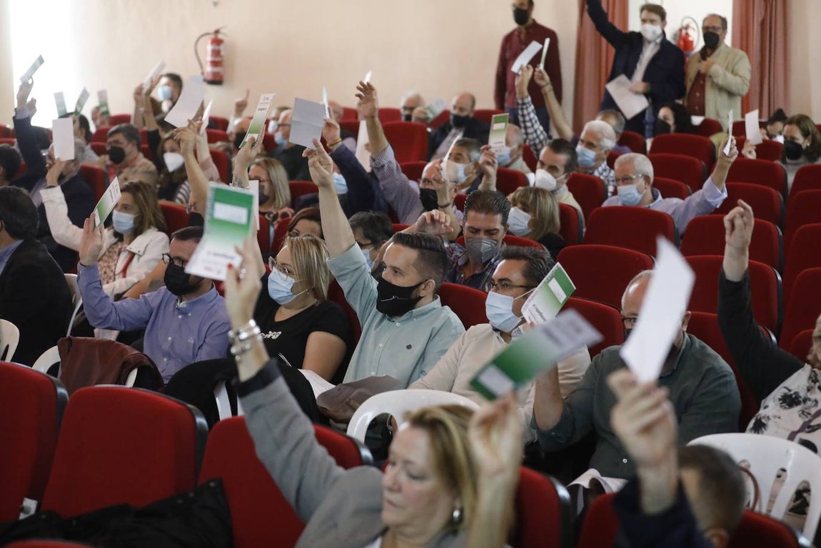 El Comité Provincial del PSOE de Córdoba, en imágenes