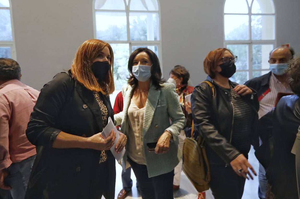 El Comité Provincial del PSOE de Córdoba, en imágenes