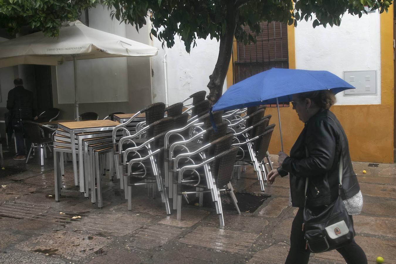 El turismo en el Puente de Todos los Santos en Córdoba, en imágenes