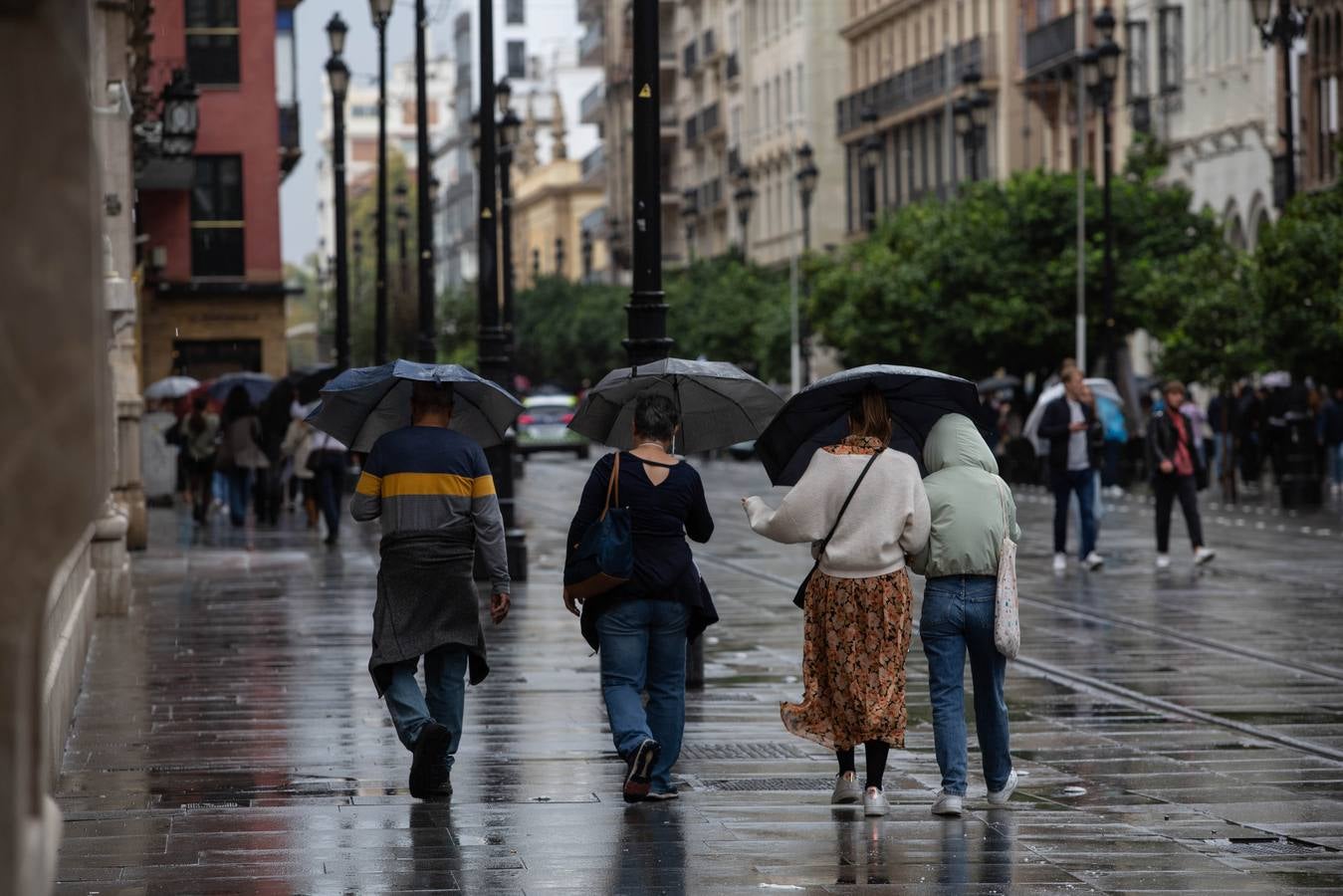 Lluviosa jornada de sábado en Sevilla