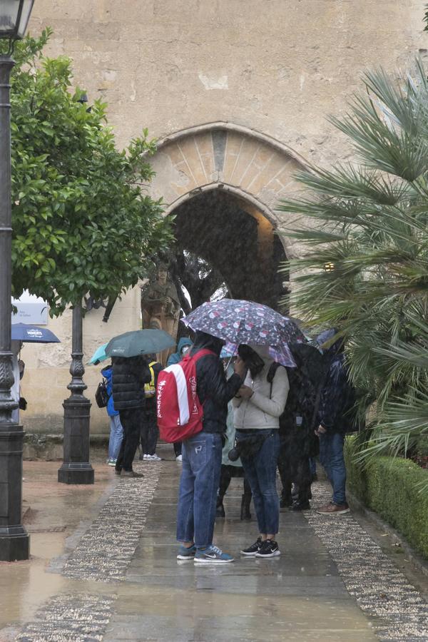 El turismo en el Puente de Todos los Santos en Córdoba, en imágenes